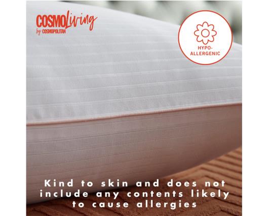 Cosmo Living by Cosmopolitan Pillow Pair