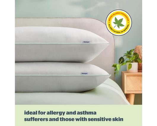 Silentnight Premium Overlocked Anti-Allergy Pillow Pair