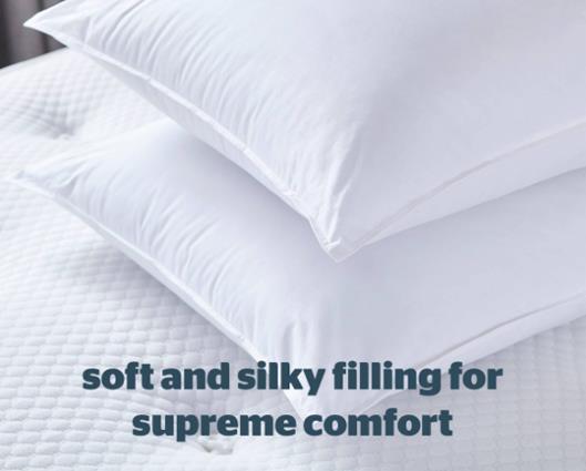 Silentnight Pure Cotton Pillow - 2 Pack