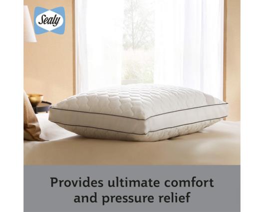 Sealy Side Sleeper Pillow