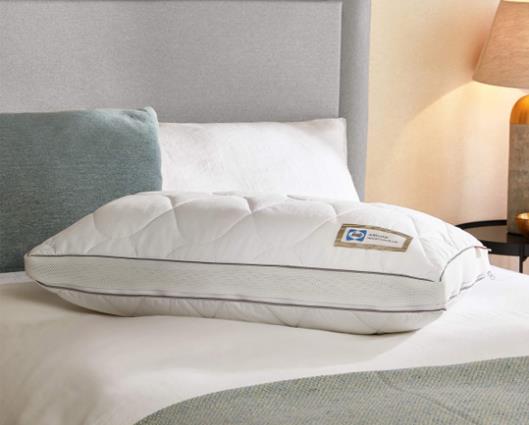 Sealy Airflow Memory Foam Pillow