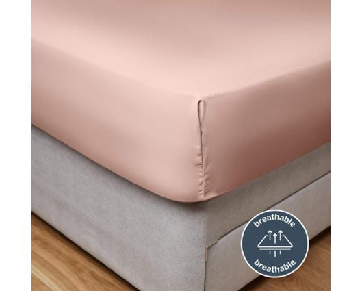 Single - Silentnight Supersoft Blush Fitted Sheet