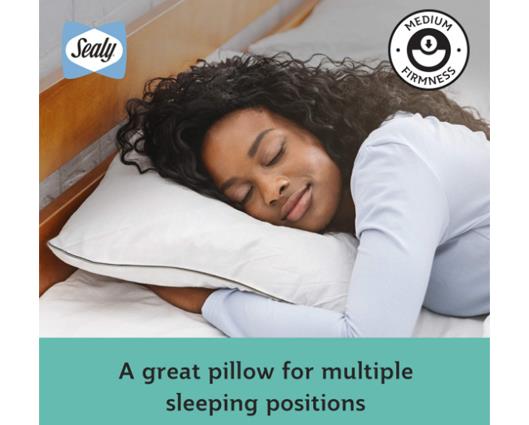 Sealy Anti-Allergy Pillows 2 Pack